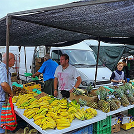 Lemon Tree Market Guardemar del Segura